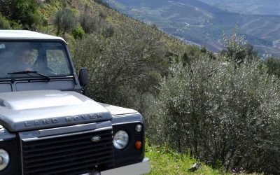 Douro Valley Tour by Jeep – Food Tour