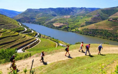 Discover the Heart and Soul of Douro Wine Region