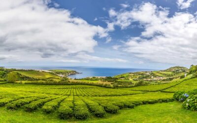 Azores Islands Walking Tour (São Miguel & Santa Maria)