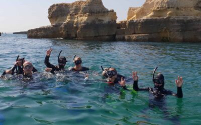 Diving in the Algarve: All You Need To Know !