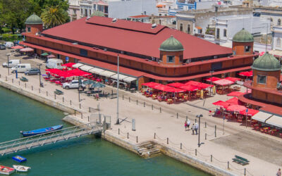 Olhão Walk & Lunch Experience